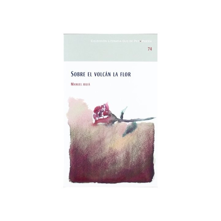 Sobre El Volcán La Flor